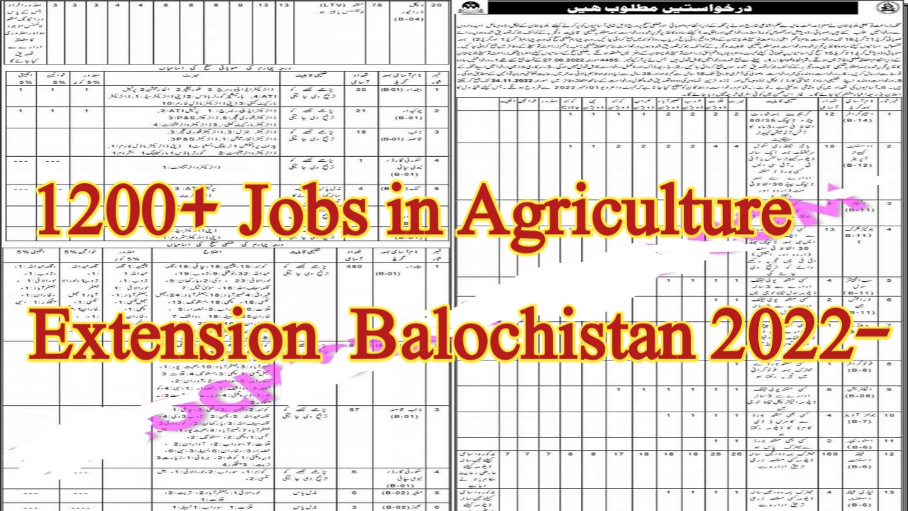1200+ Jobs In Agriculture Extension Balochistan Jobs 2022Download