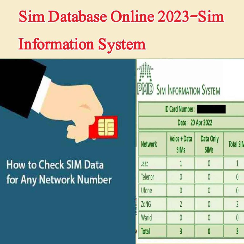 Sim Database Online 2023-Sim Information System
